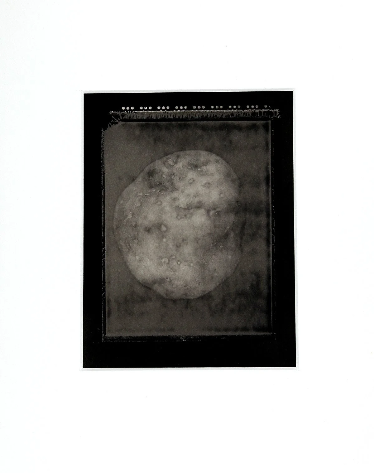Potato 2002