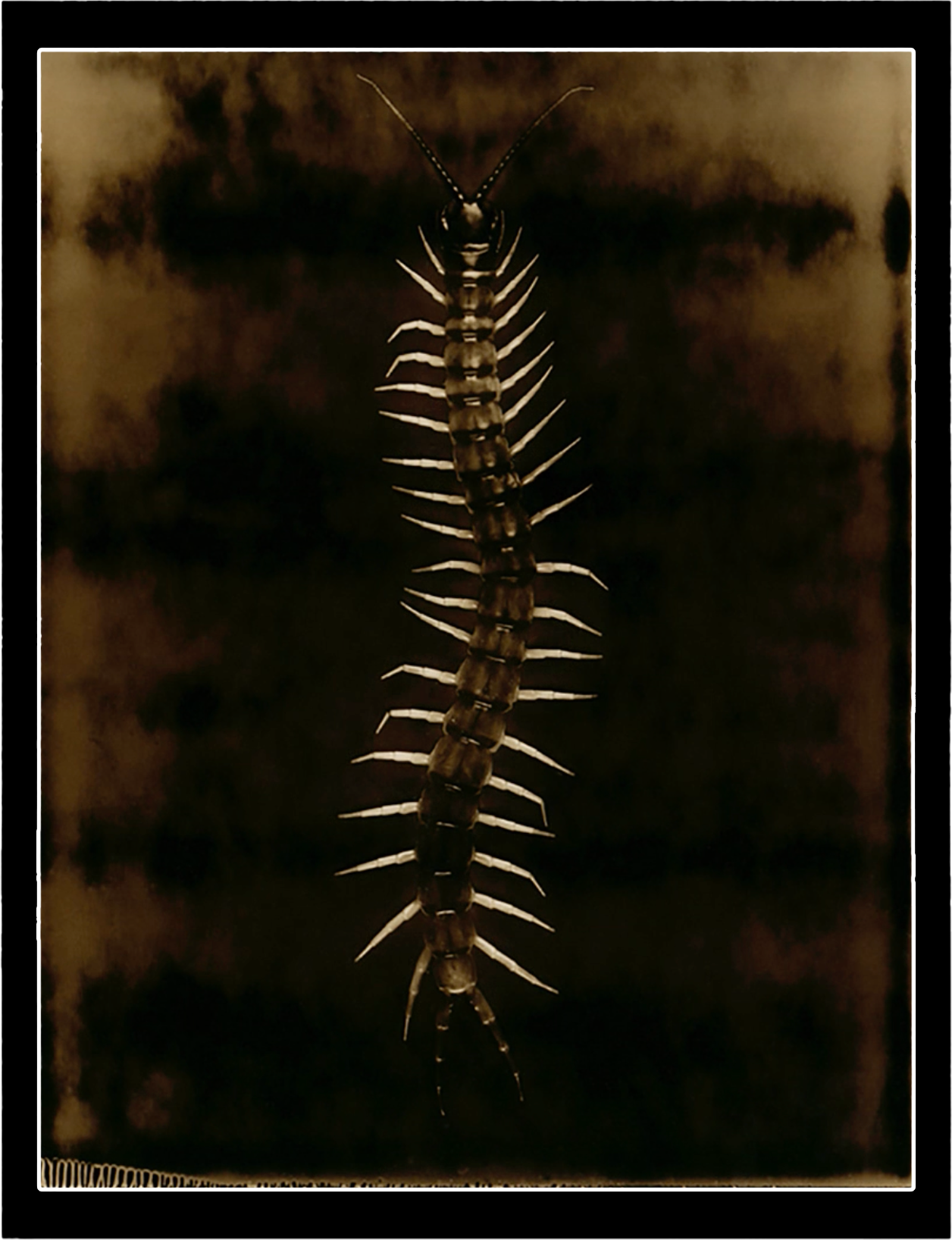 05.png