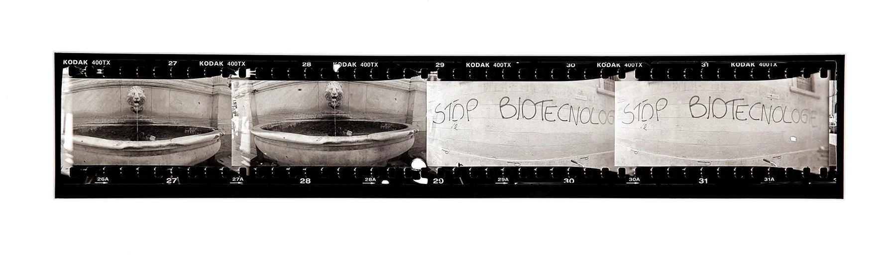Stop Biotech, Florence 2003