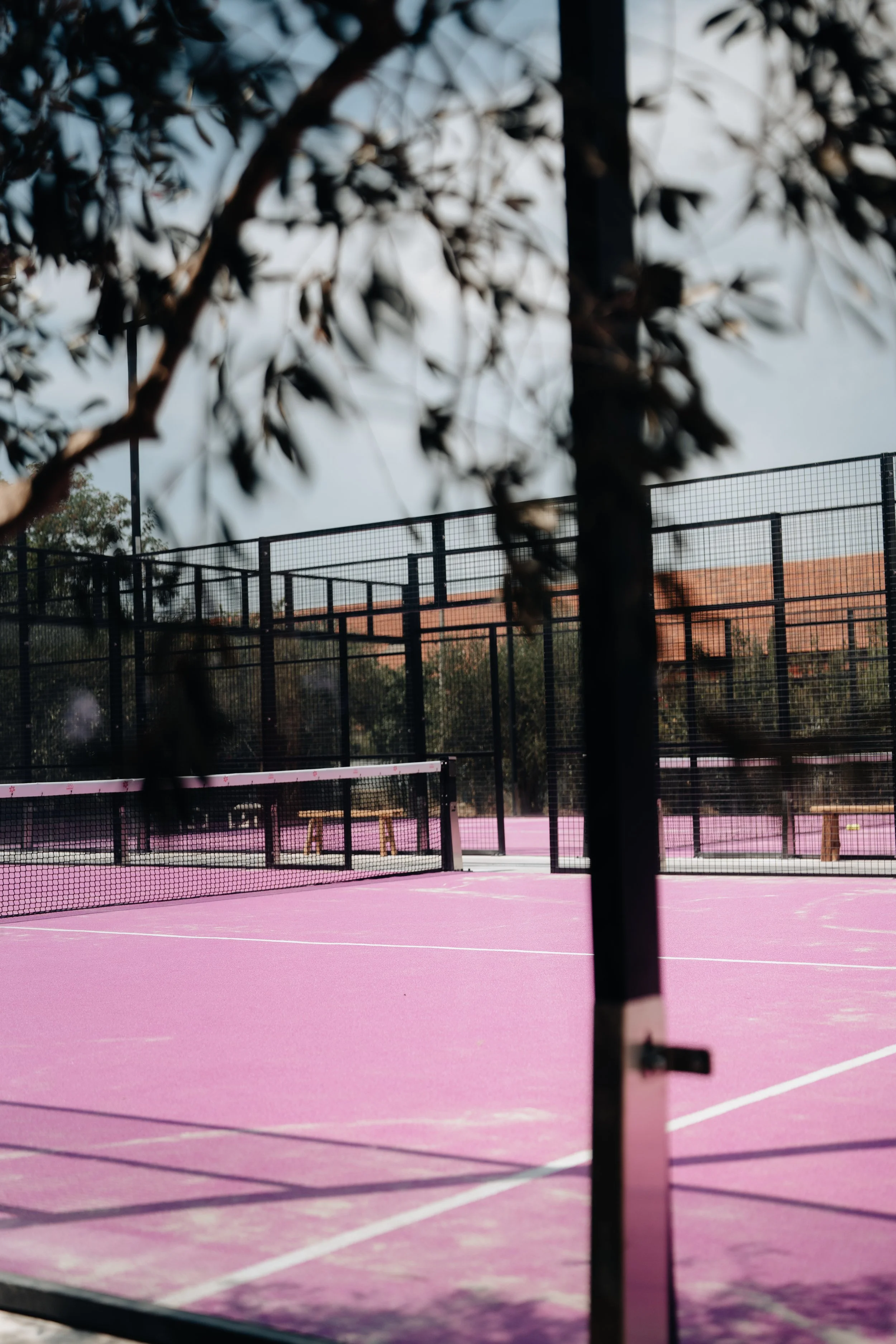 garden padel prend forme : le point sur les travaux
