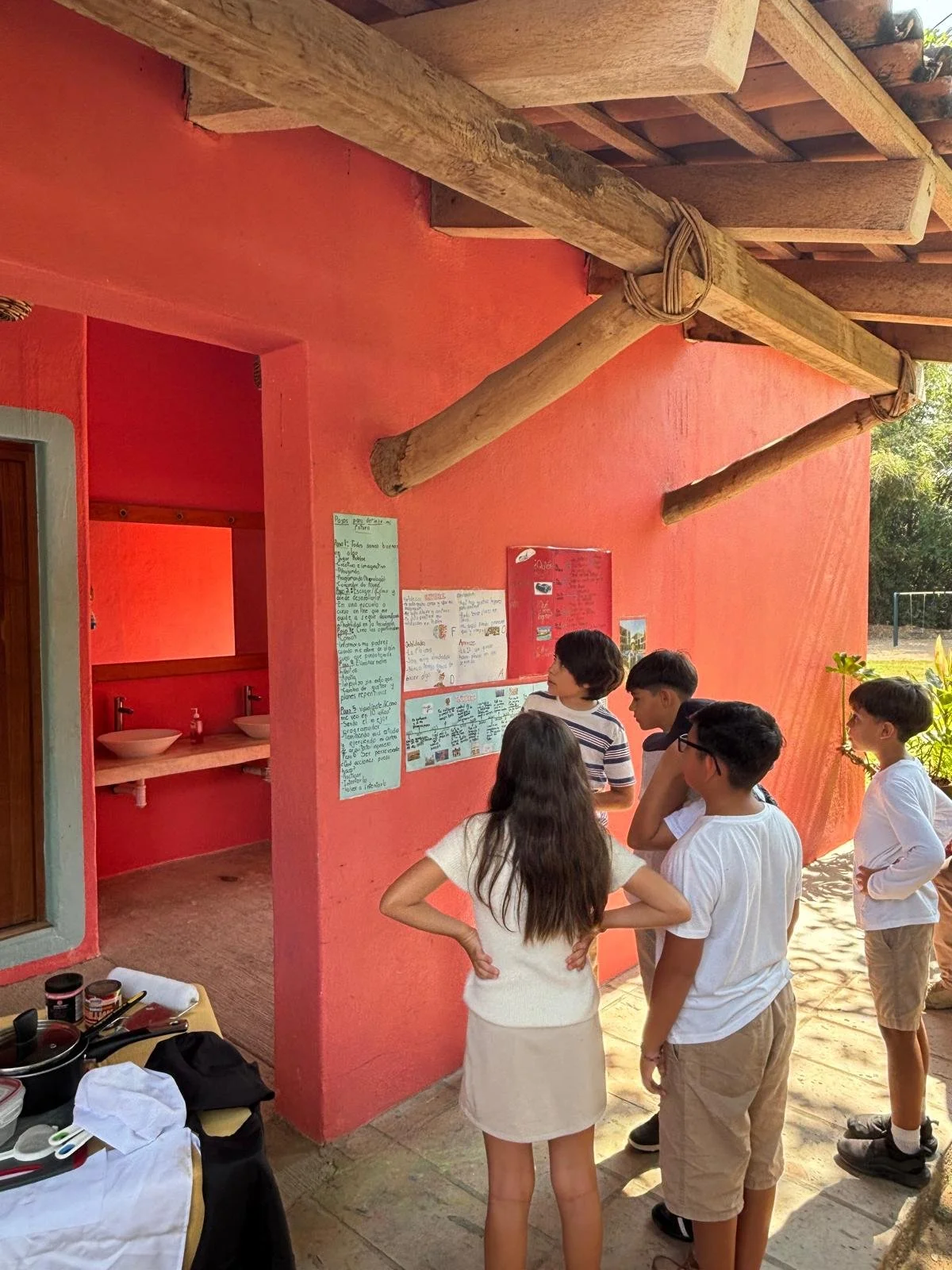 WhatsApp Image 2026-02-13 at 17.58.28 (6).jpeg