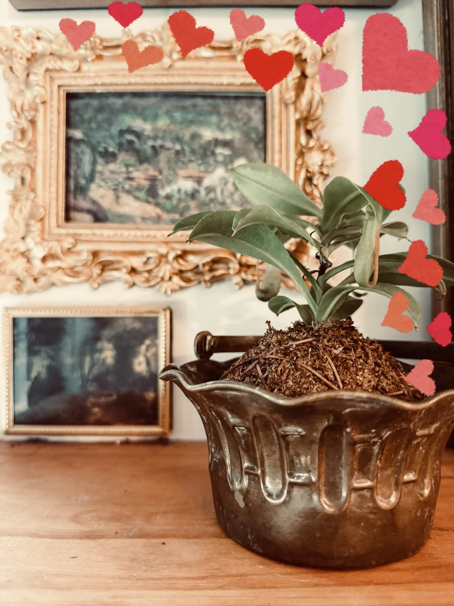 Village Valentine Market at the Fair Barn