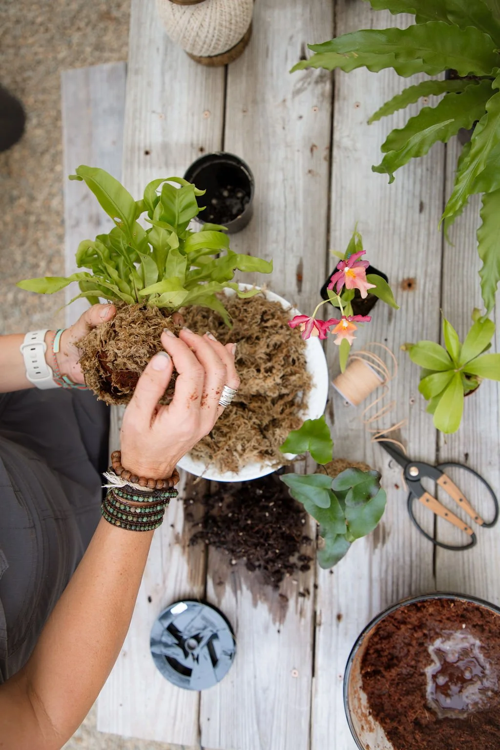 Kokedama Workshop