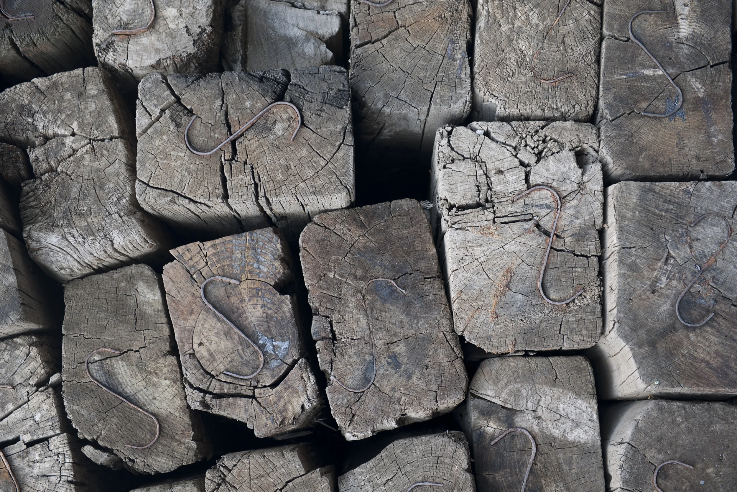 SERVE: Bingo Night @ the Epiphany House