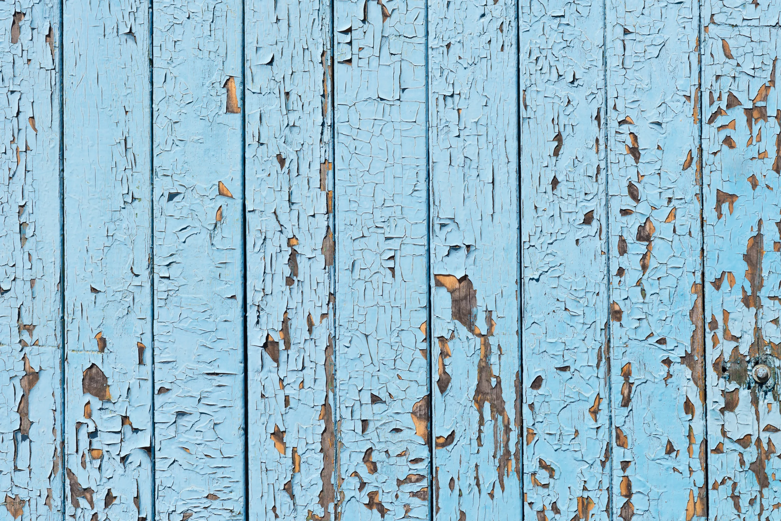 Organization Service