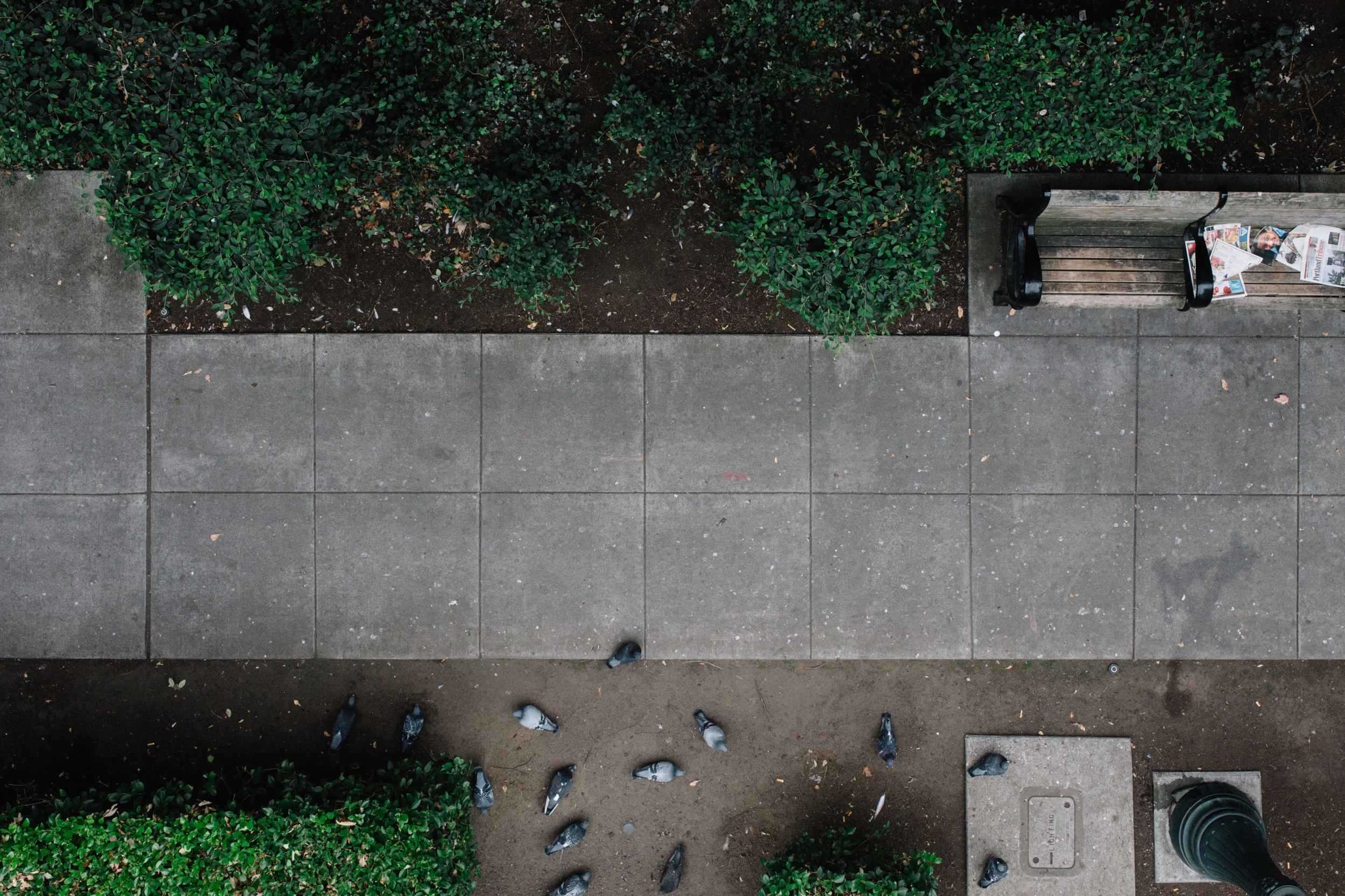 Serve the City Baltimore: Dewees Park