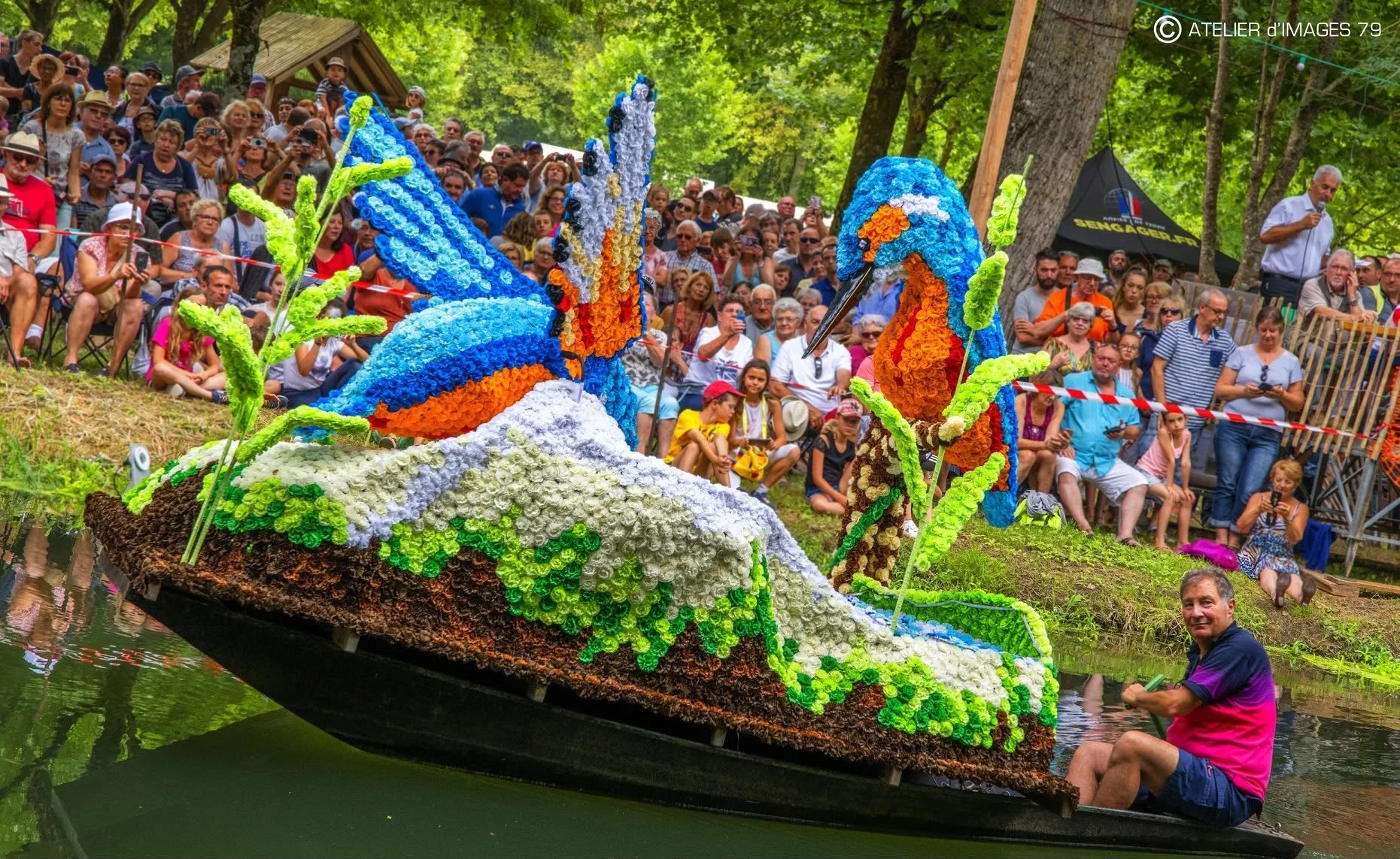 Les oiseaux - 2018