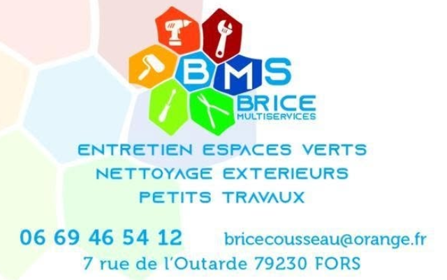 BRICE-MULTISERVICES.png