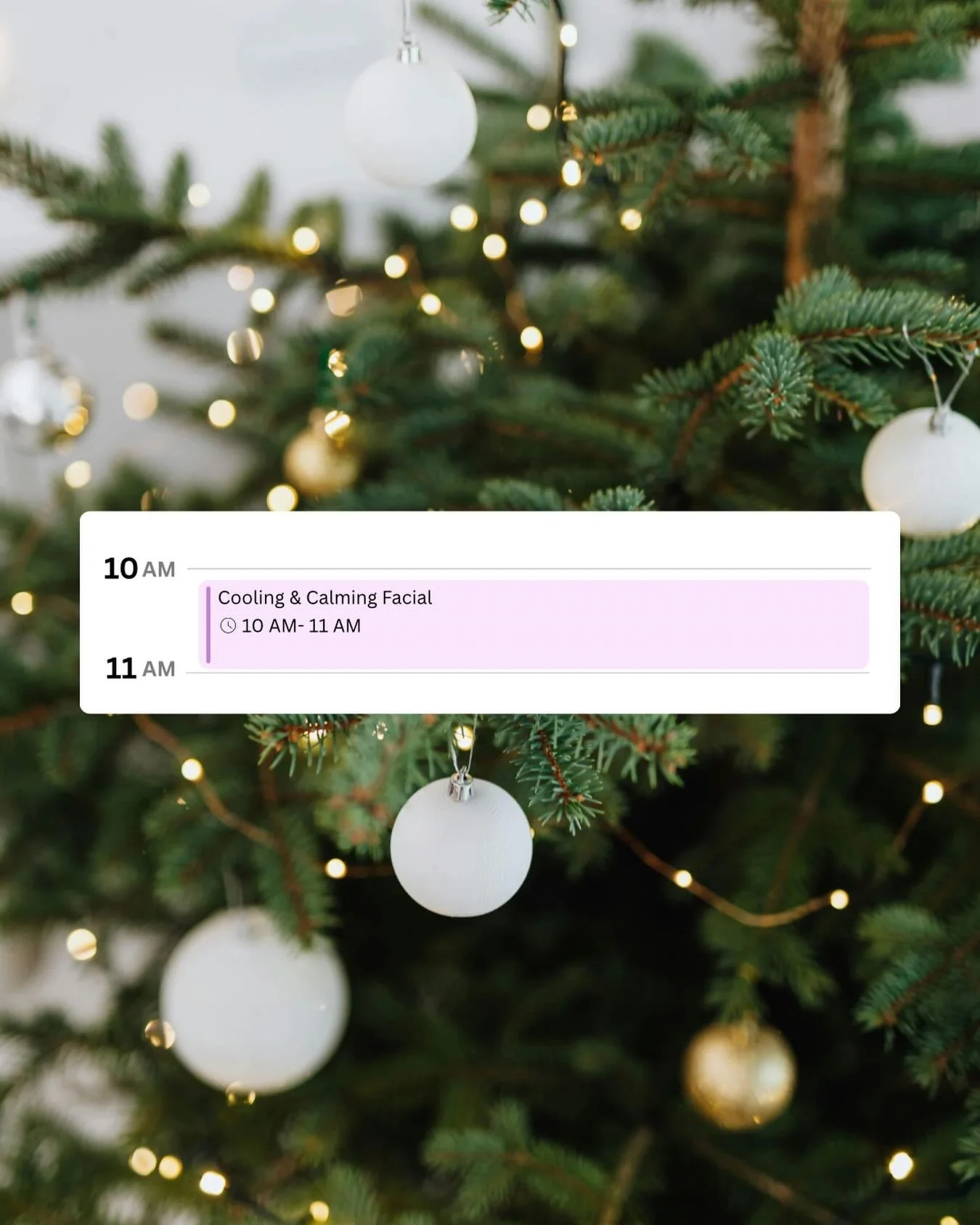 December is closed. We&rsquo;re so thankful for all your love and support! 

You have no idea how much your support means to small businesses! 

We will be transitioning to new and exciting things for 2026! 

We will continue our $150 savings off our