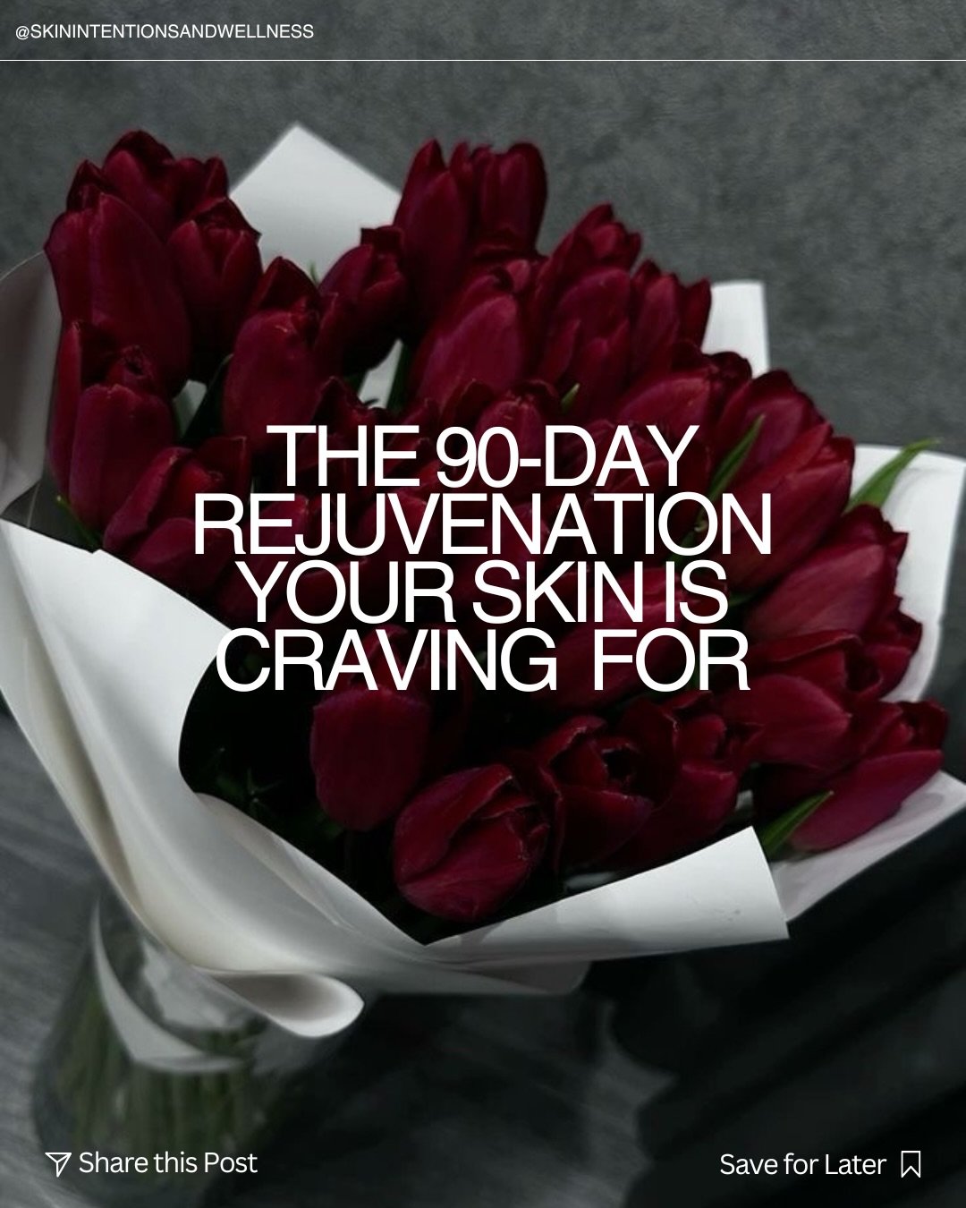 Stop dating random facials! Valentine&rsquo;s Day is coming, and so is March and April. I created a 90 day plan, just for you because I want you to commit to your skin. 

That&rsquo;s why I created the skin restoring program your skin craves for. 

D