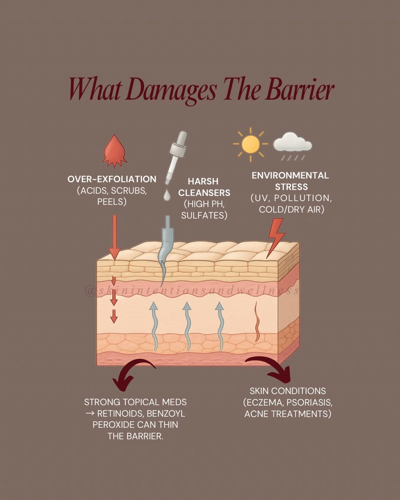 Understanding your skin barrier is the foundation of healthy skin

Your skin barrier is your skin&rsquo;s first line of defense. When it&rsquo;s healthy, it helps lock in hydration, protect against environmental stressors, and allows your skin to fun