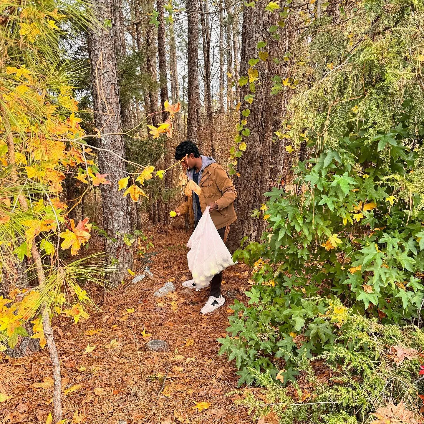 🎾500+ tennis balls collected today!🎾 1800+ and counting! Please reach out to donate some tennis balls for a great cause!