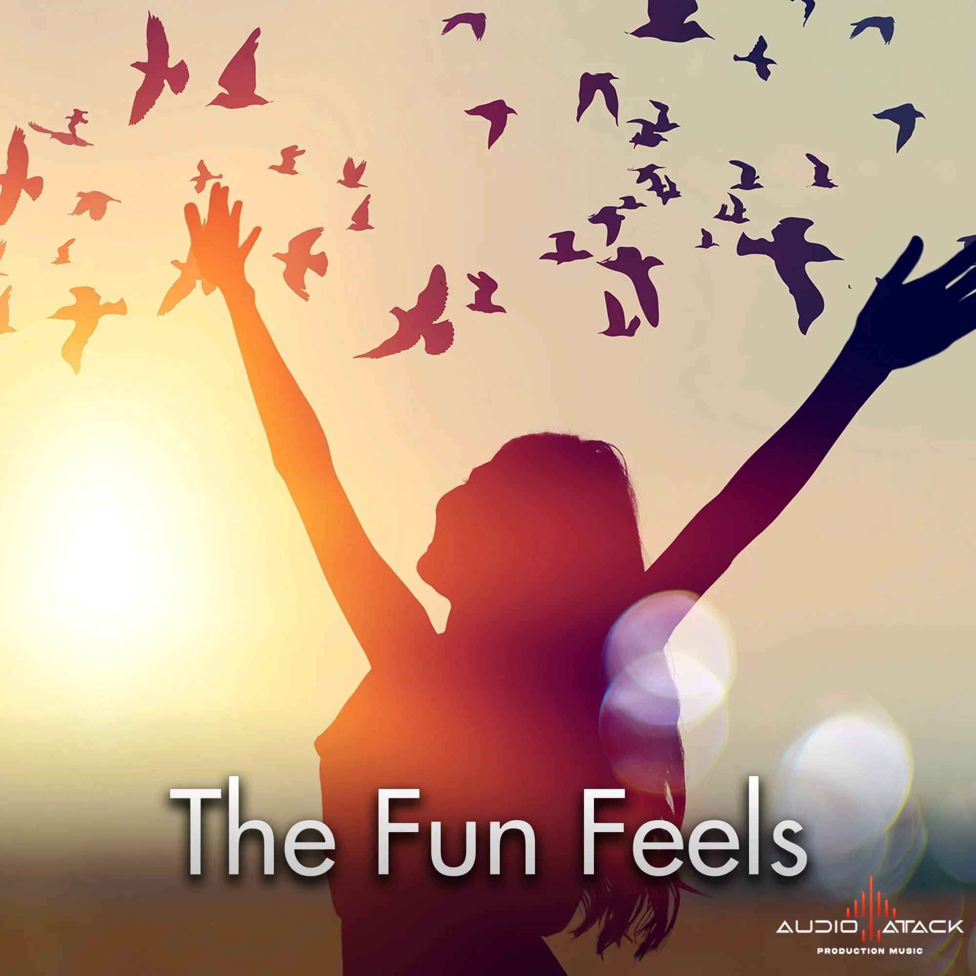 AAPM230 The Fun Feels- COVER.jpg