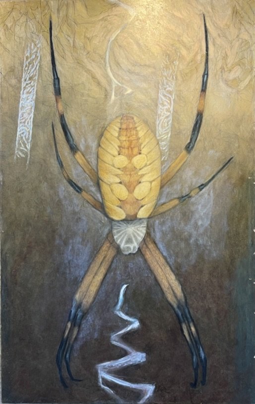 Argiope