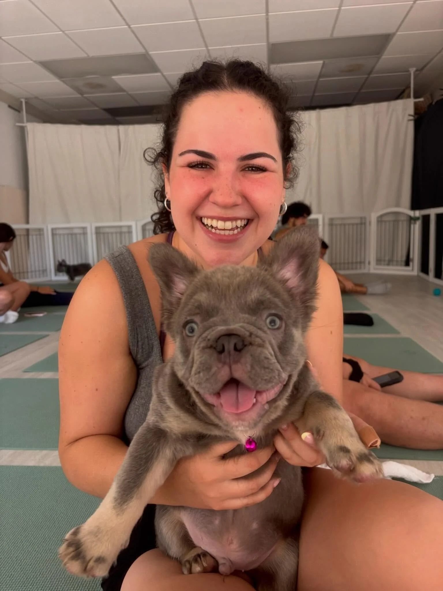 Had the absolute best time at @puppiesyogabocaraton yesterday. I can&rsquo;t believed I managed to leave without taking any of these puppies home😭🥹💔

#puppyyoga #puppy #dogs #wellness