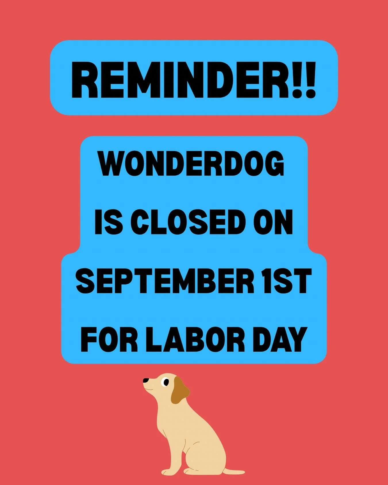 Labor Day boarding is full- please call the store to be added to our waitlist!