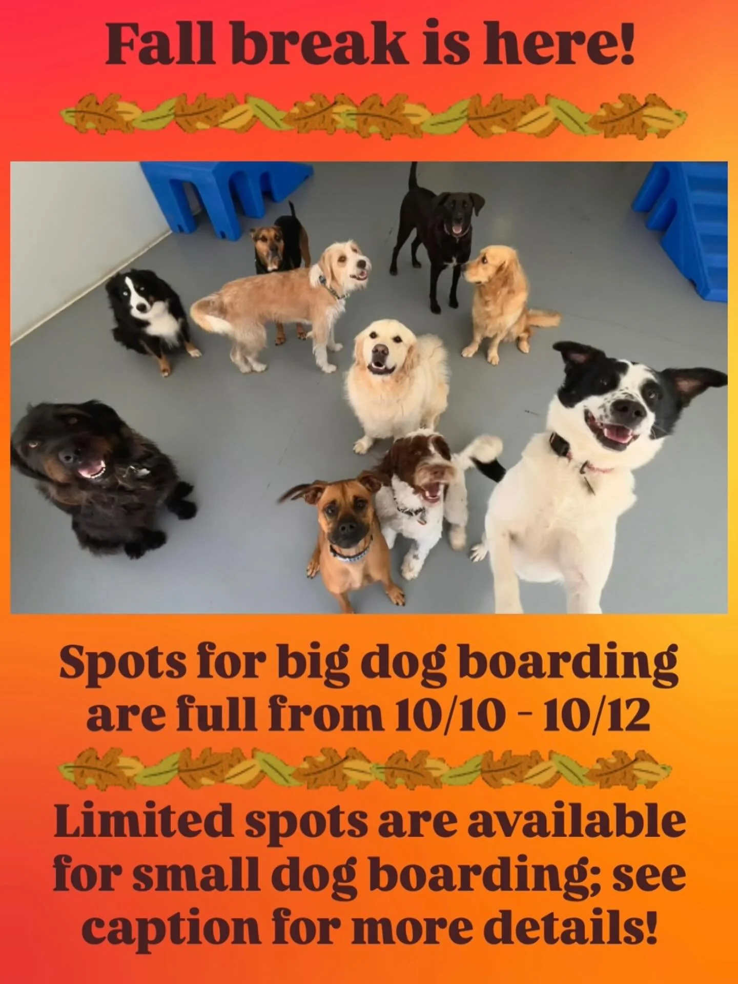 We&rsquo;re looking forward to lots of sleepovers with our furry friends! While boarding is fully booked the next two weekends for our big dogs, we have a few spaces available for small dogs (25lbs or less) for boarding. If you&rsquo;re looking to re