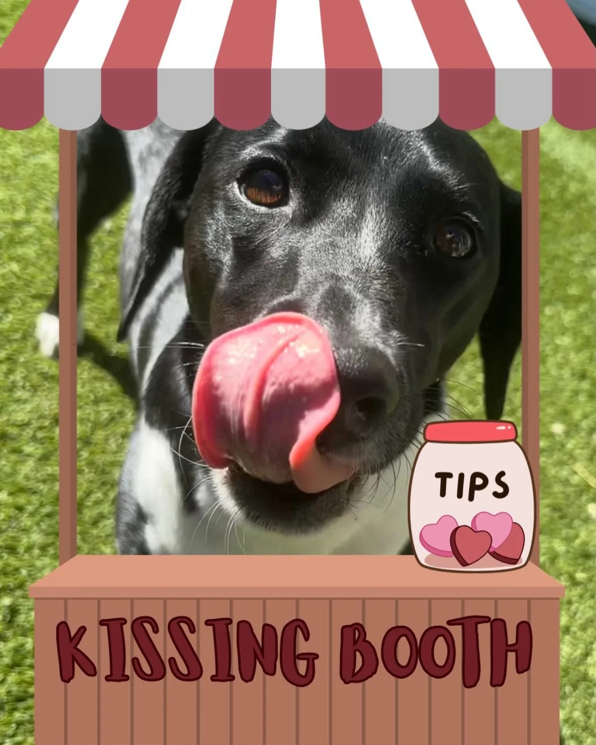 Wishing you a happy Valentine&rsquo;s Day full of slobbery dog kisses! 💕 XOXO 🐾