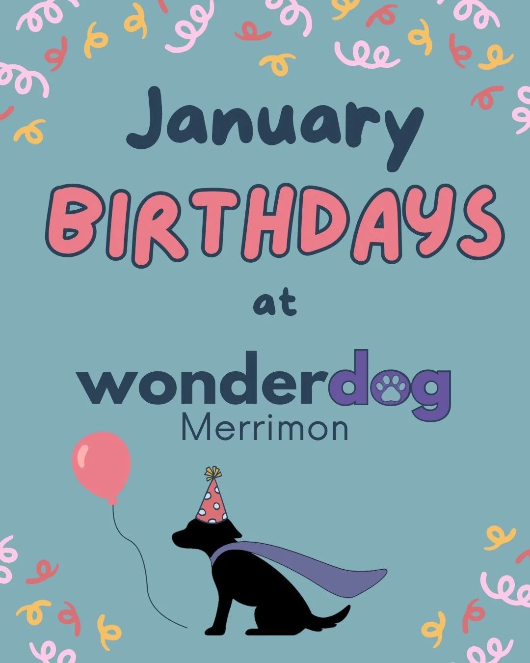 A post to celebrate all of the pups who turned a year older this month! Here&rsquo;s to you, Dumpling, Archie, Rosie, Alfie, Gus, Sofie, Brie, and Barkis! 🥳🥳🥳 

*The dogs featured in this post all have birthdays listed in our facility&rsquo;s syst