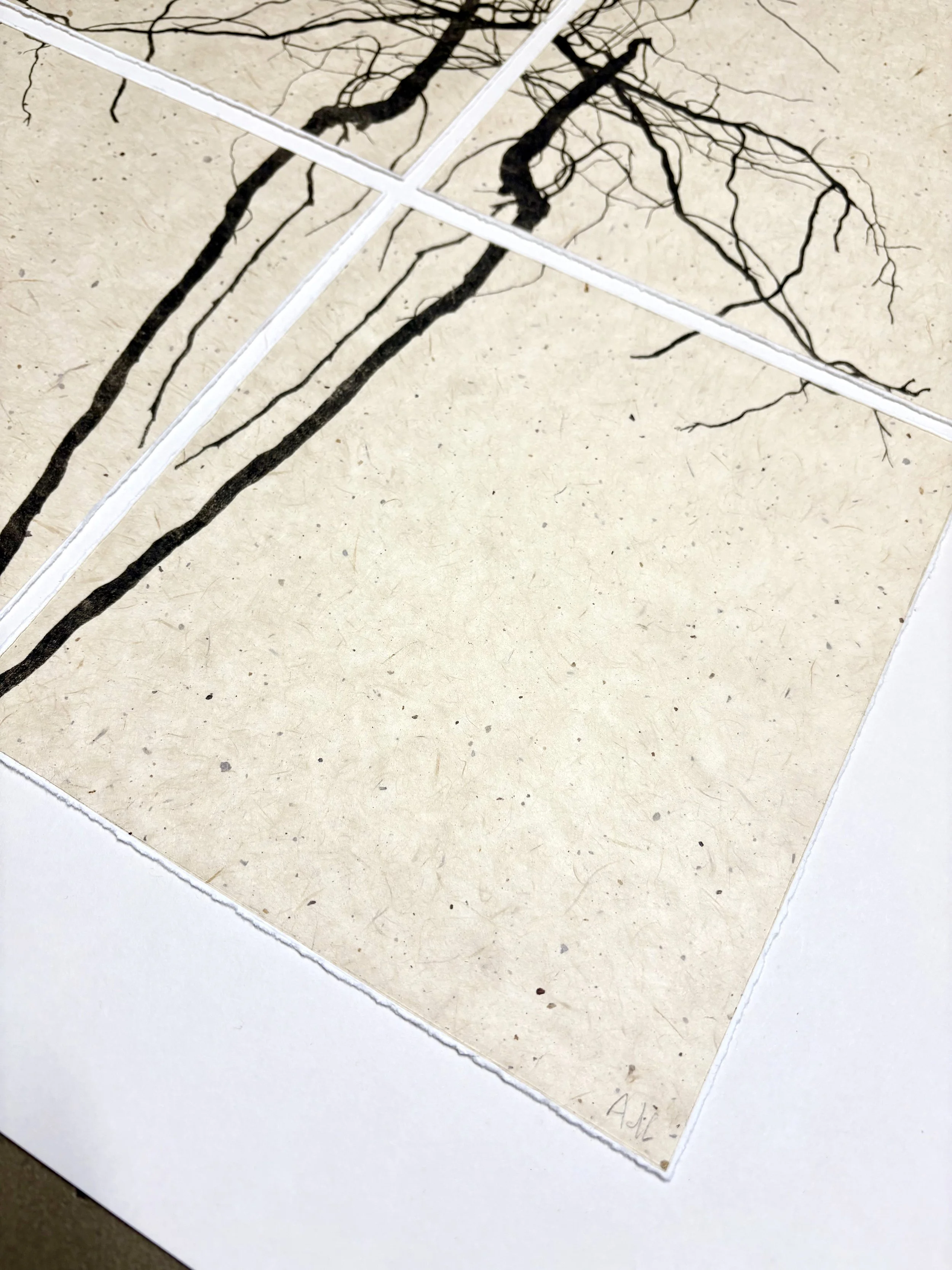 signature.jpg