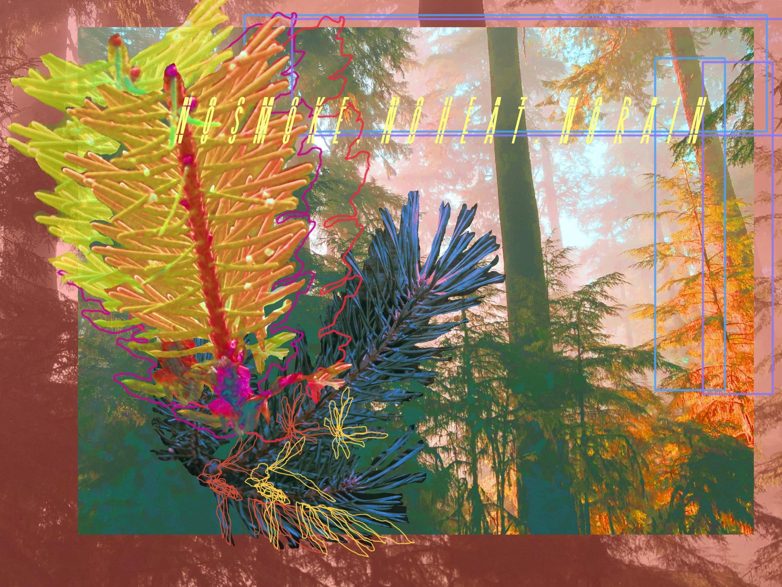 Two poems in Plant-Human Quarterly