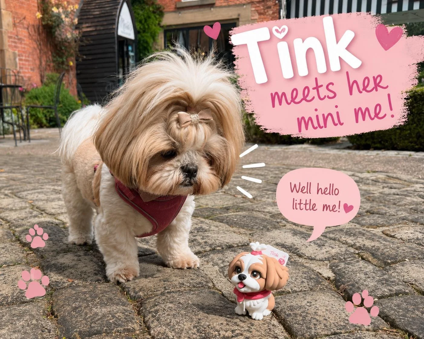 🐾✨ Tink finally met her mini me! ✨🐾
When your tiny 3D twin is almost as cute as the real thing! 😍
Tink was very curious to meet her miniature version today, and we think it's safe to say she approves. 💕 From her signature bow to her adorable fluf