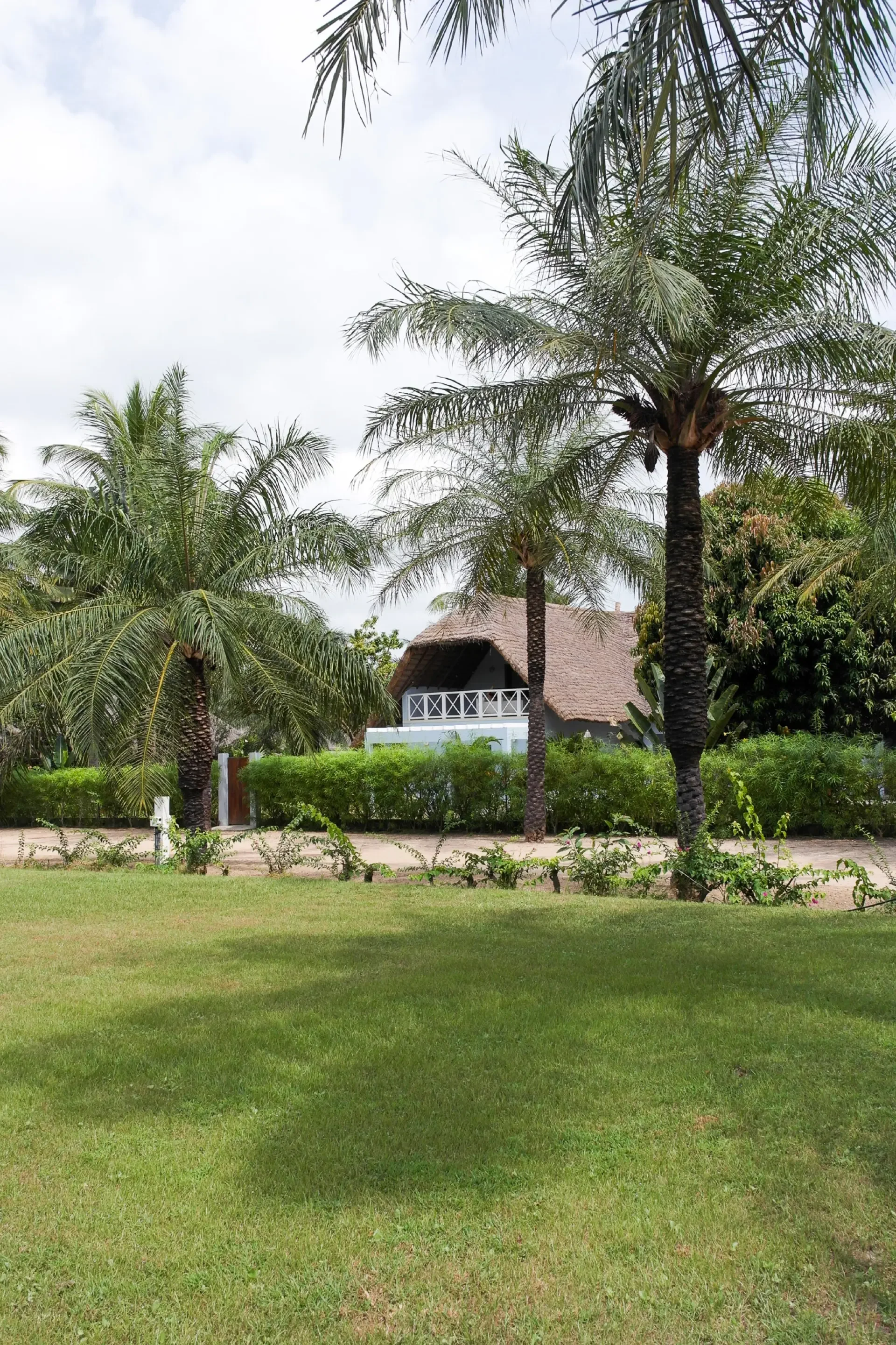 Paysage tropical avec des palmiers, une maison avec un toit de chaume et une terrasse en bois, herbe verte et buissons.