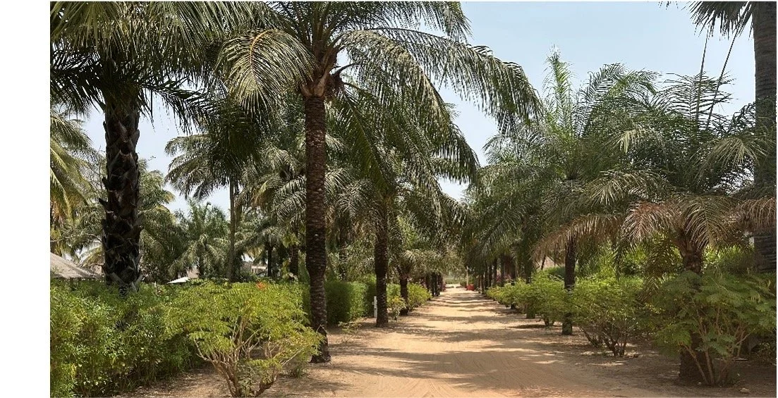 Zandweg Baie de Boucotte