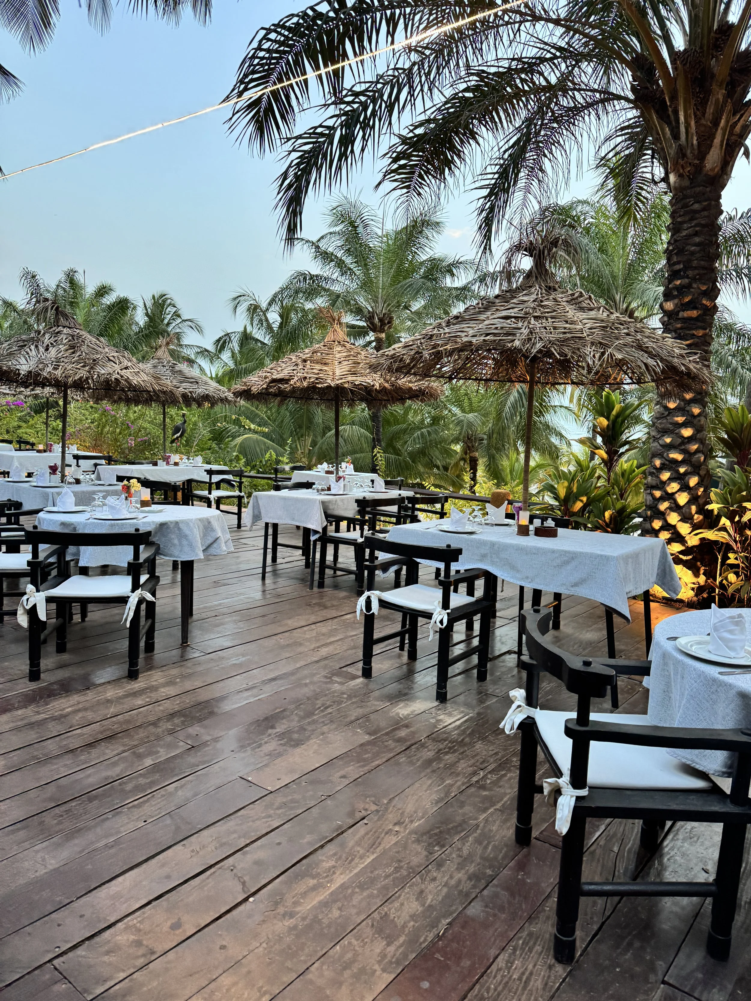 Terrasse de restaurant en plein air avec tables recouvertes de nappes blanches, chaises noires avec coussins blancs, parasols en paille, et verdure tropicale avec des palmiers et des plantes
