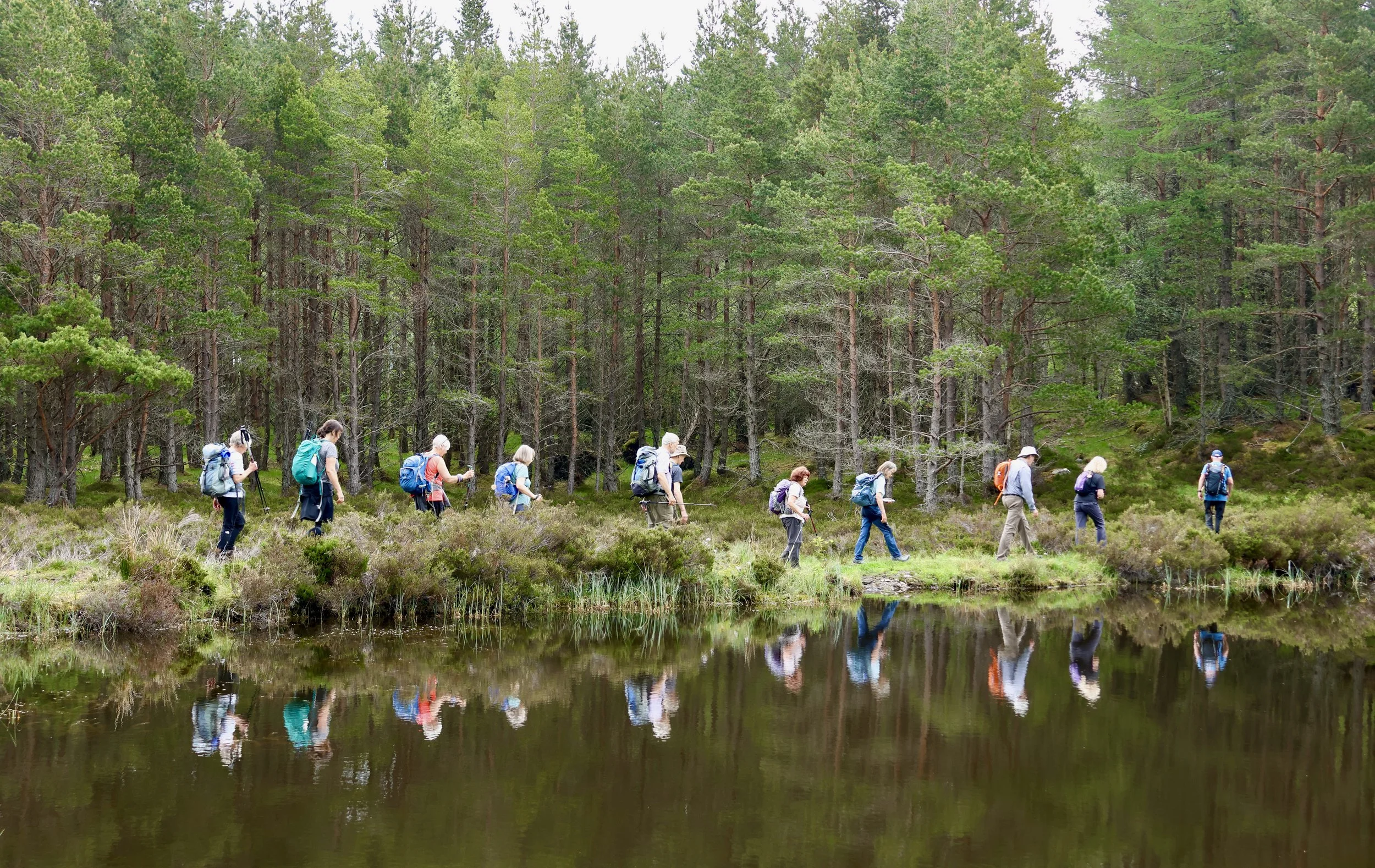 A group of hikers walking along a trail beside a calm lake in a dense forest.