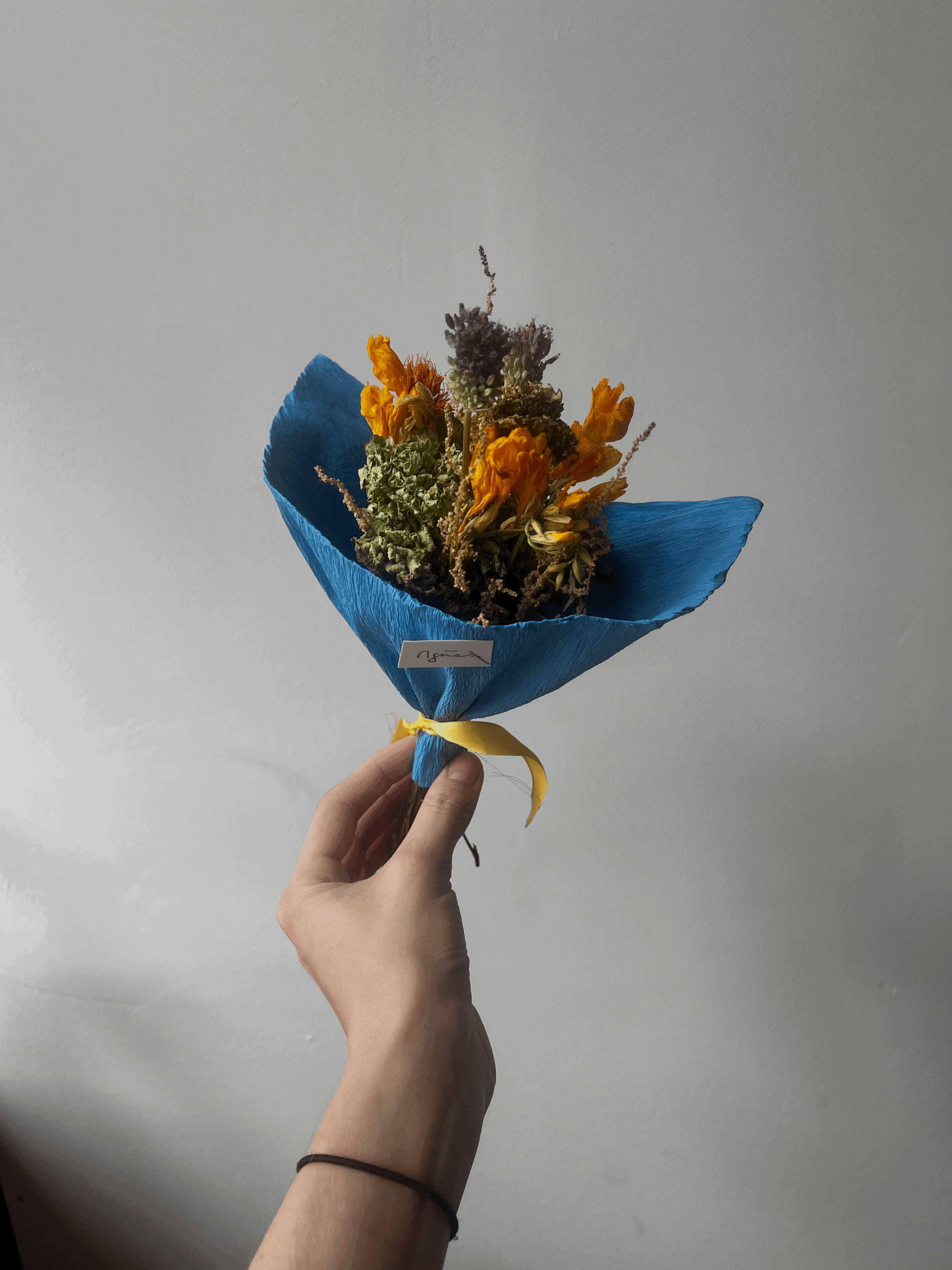 tempImageFB38o9.gif