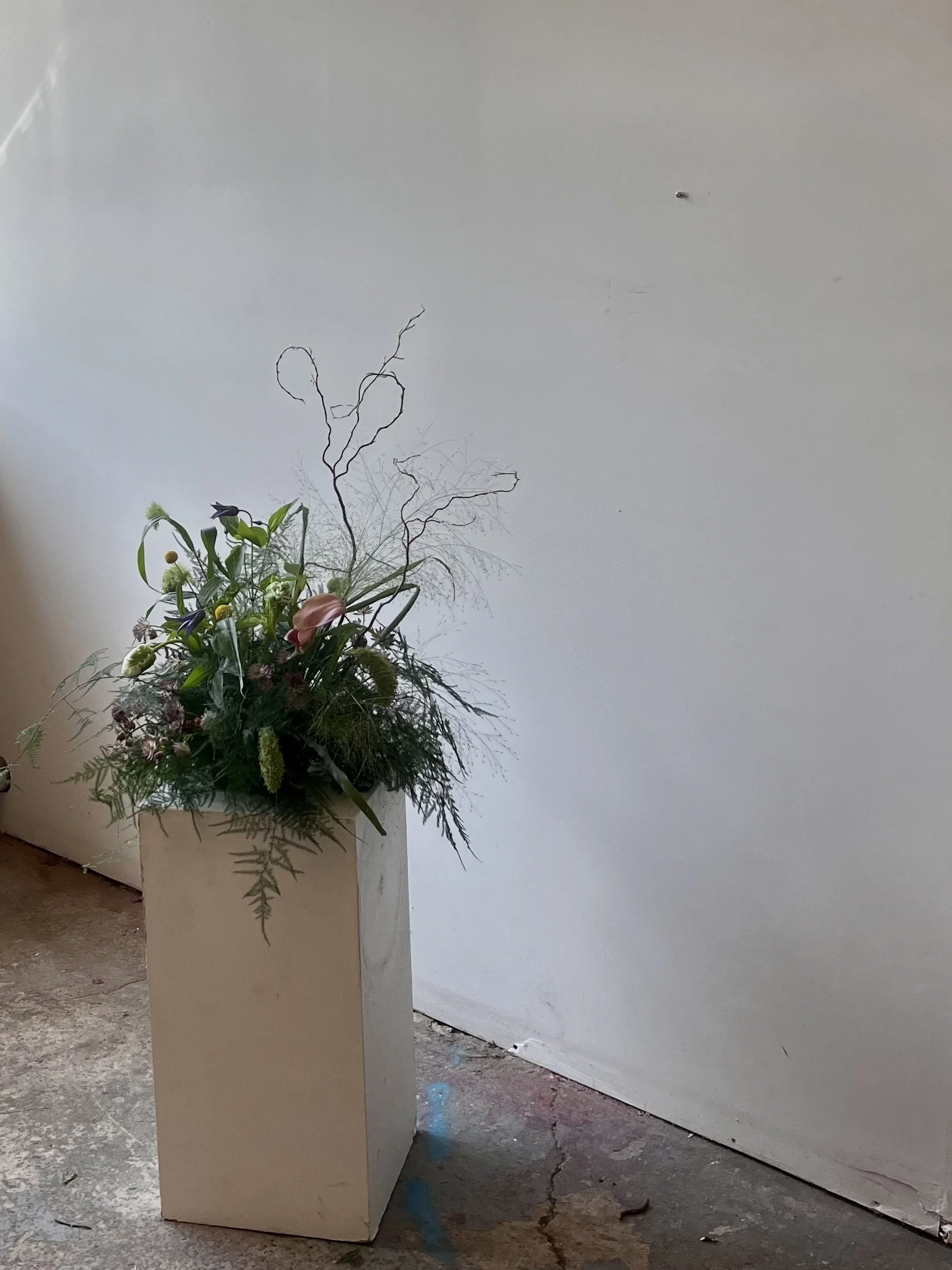 IMG_0736.jpeg