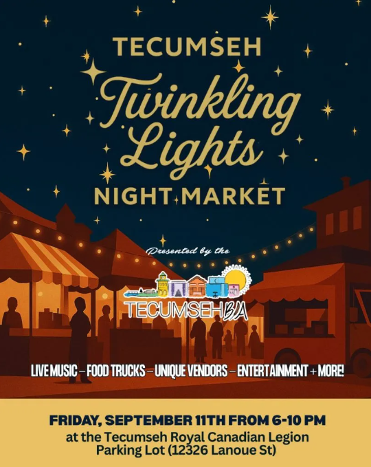  Twinkling Lights Night Market