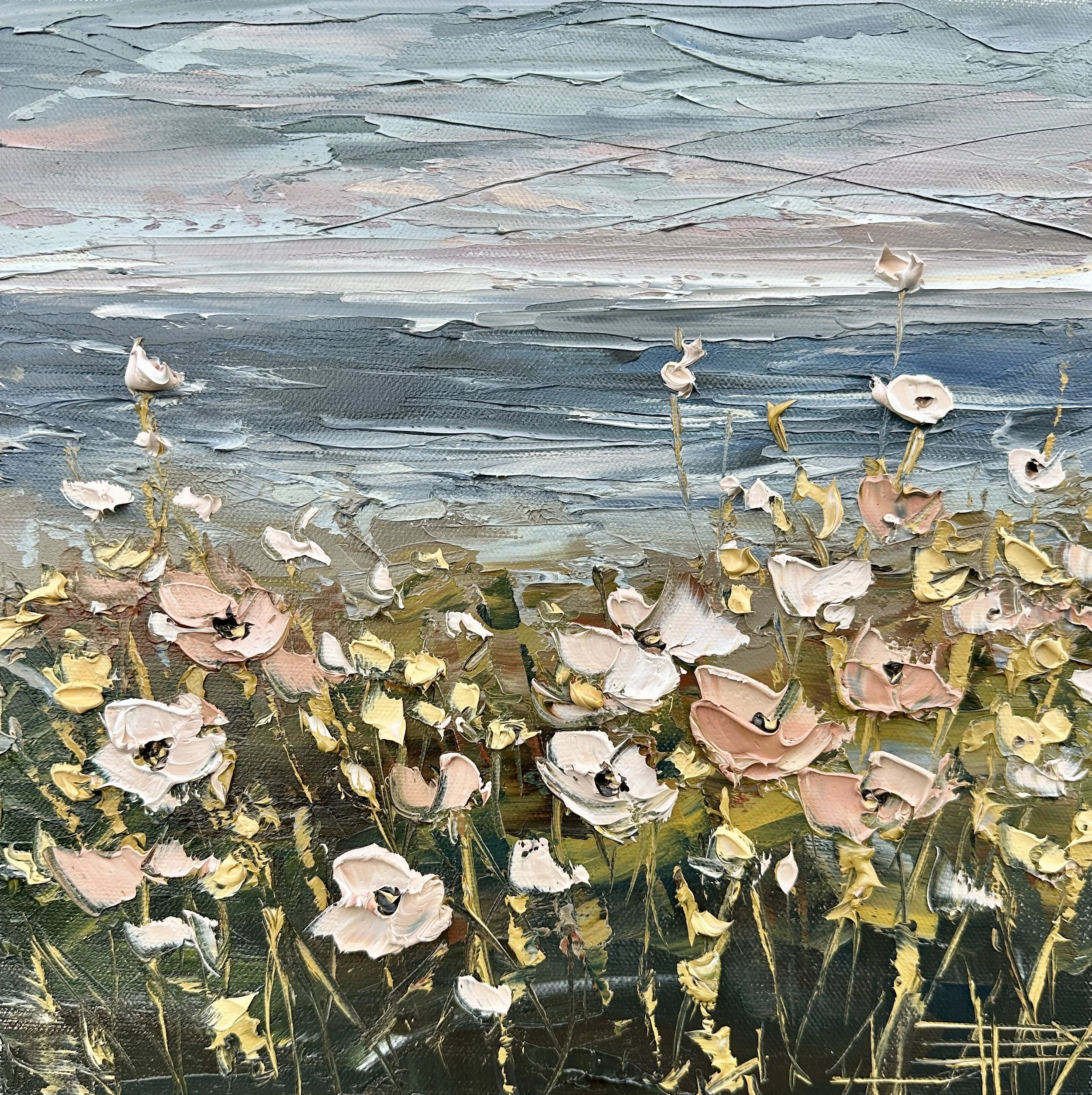 Blush along the shore