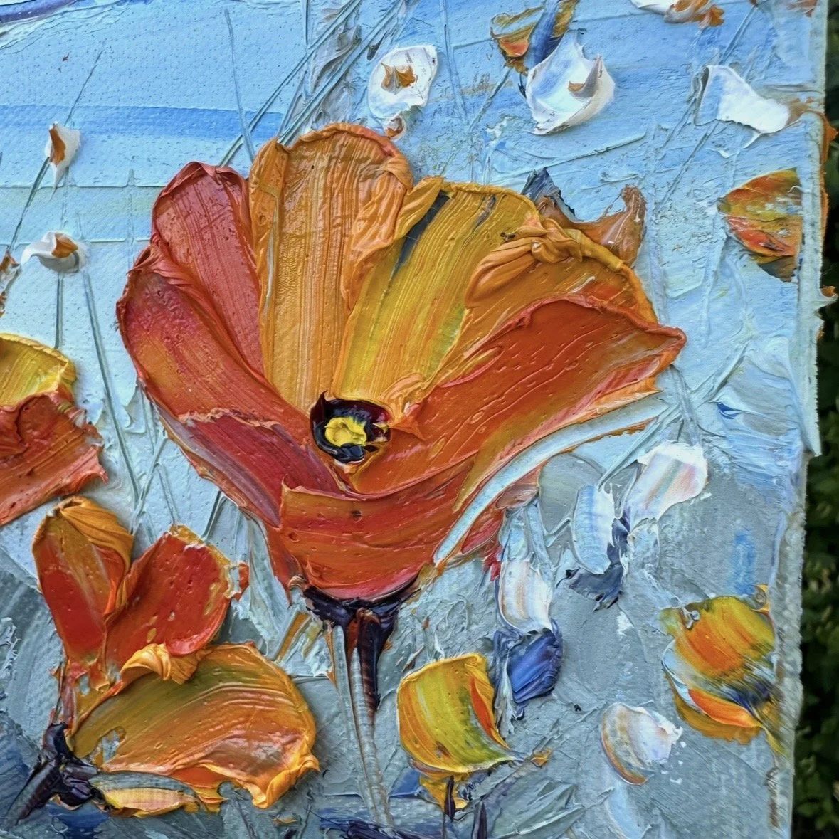 california coastal poppy painting 12x12