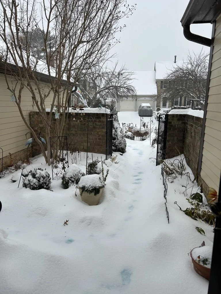 Winter Storm Delivery Impact