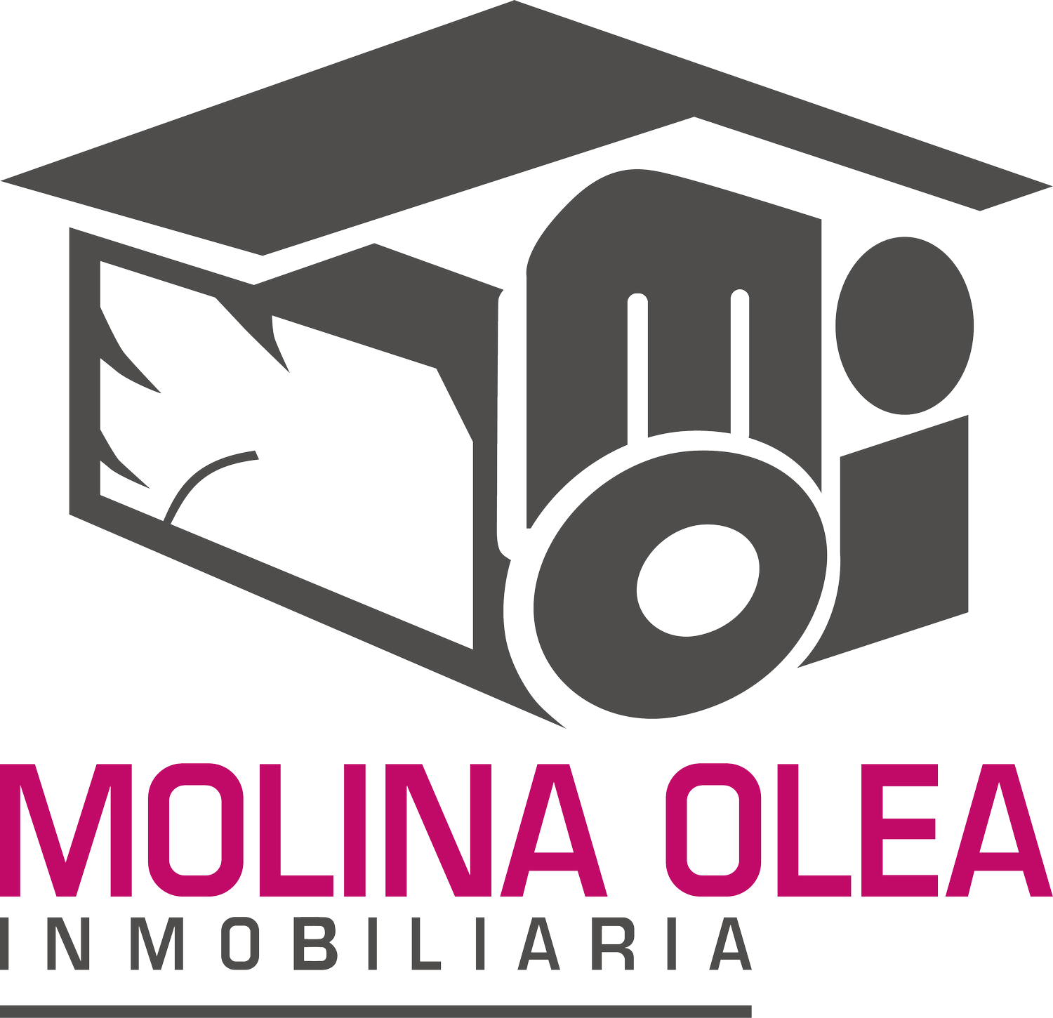 MOLINA OLEA INMOBILIARIA
