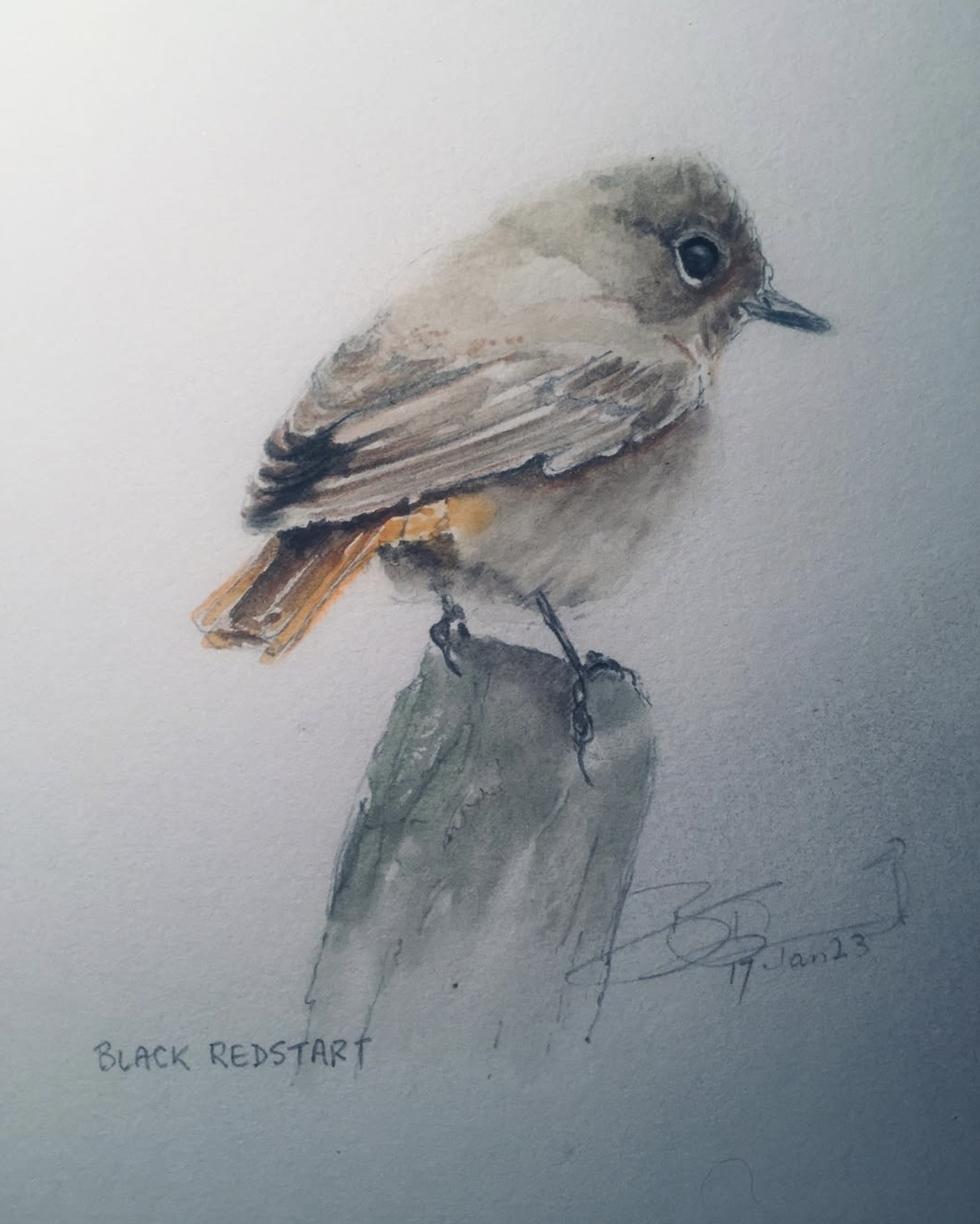 Screenshot 2025-08-04 at 16.02.53.png