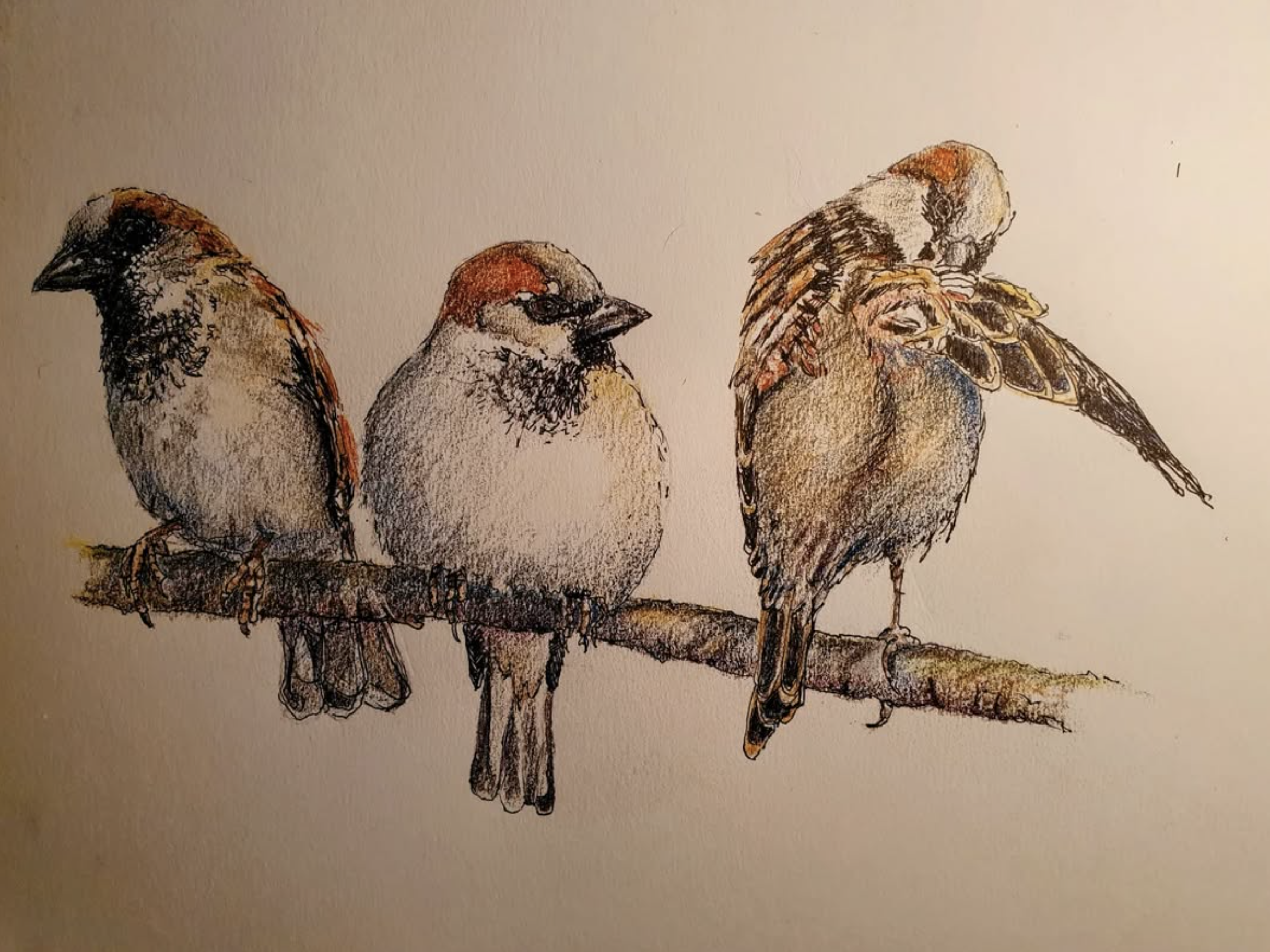 Screenshot 2025-08-04 at 15.58.51.png