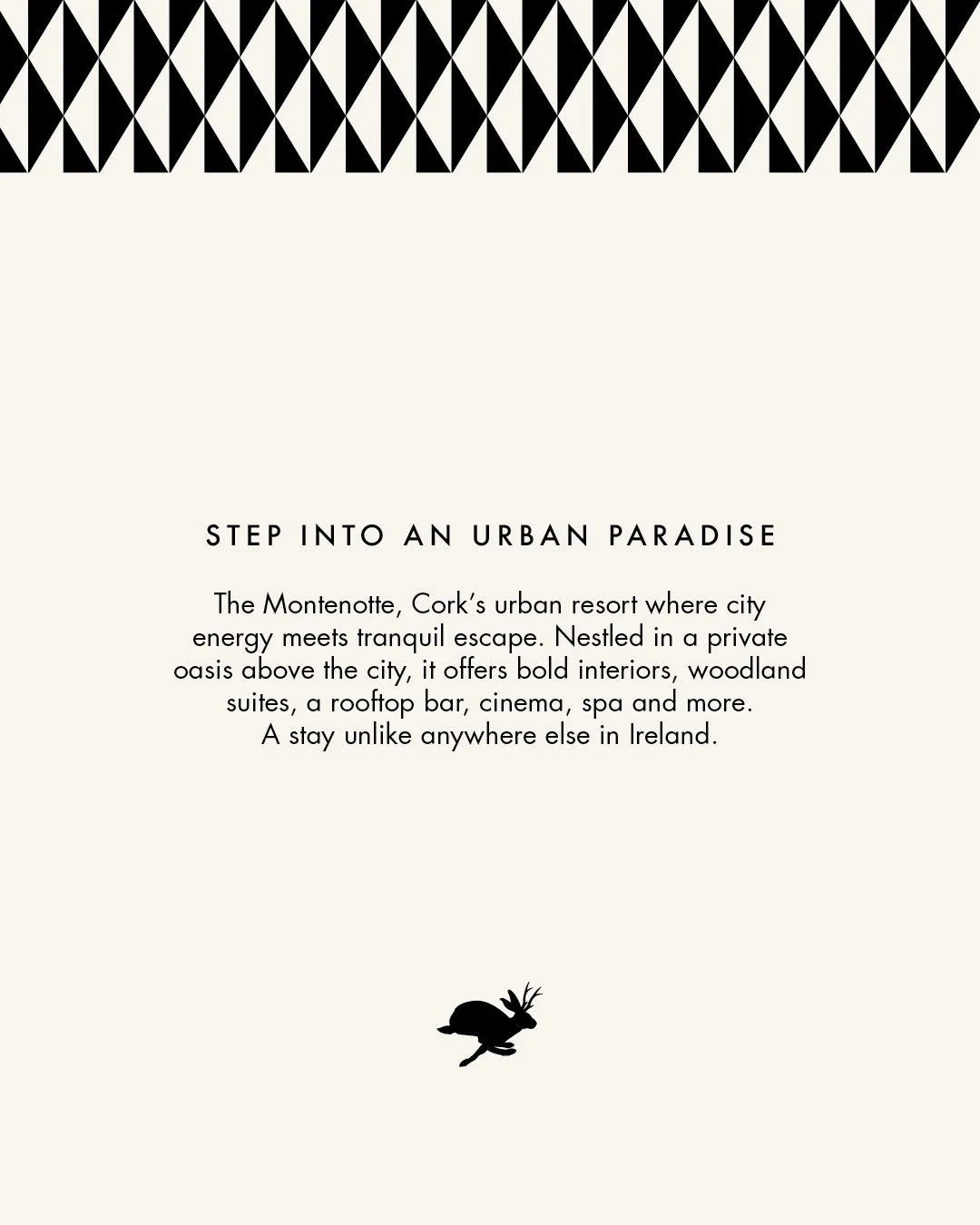AD_CASE_STUDY_THEMONTENOTTE5.jpg