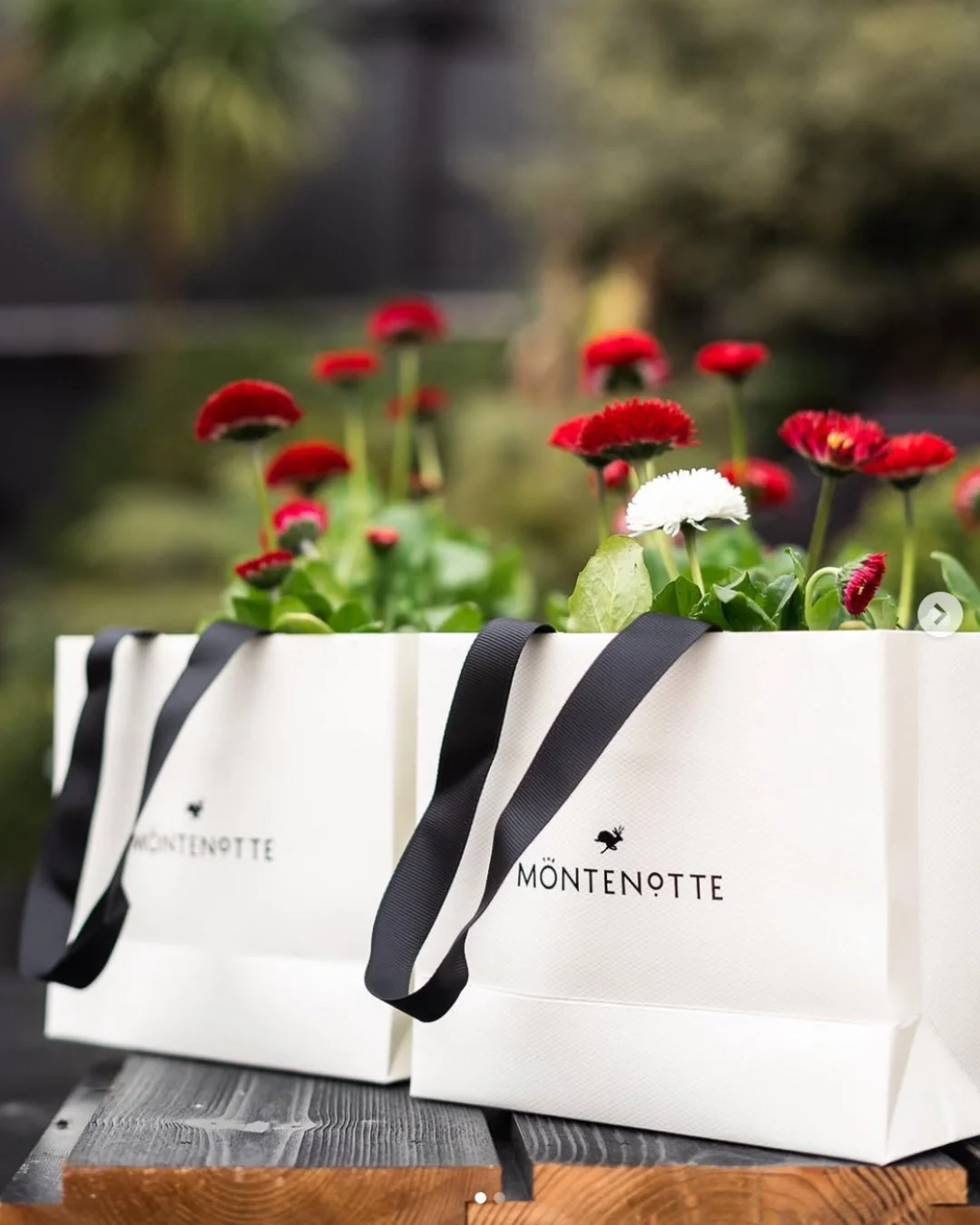 AD_CASE_STUDY_THEMONTENOTTE7.jpg