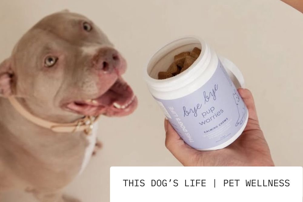 dog product marketing