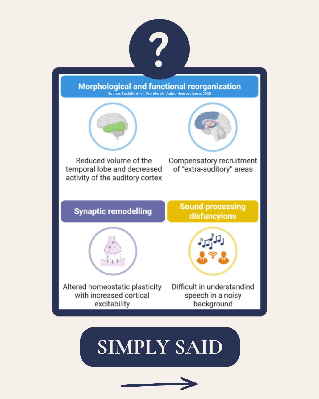 Infographic titled 'Morphological and functional reorganization' showing diagrams of the brain with labels about changes in brain activity related to aging, including reduced volume of the temporal lobe, recruitment of extra-auditory areas, synaptic remodeling, and sound processing dysfunctions, with descriptive icons and text.