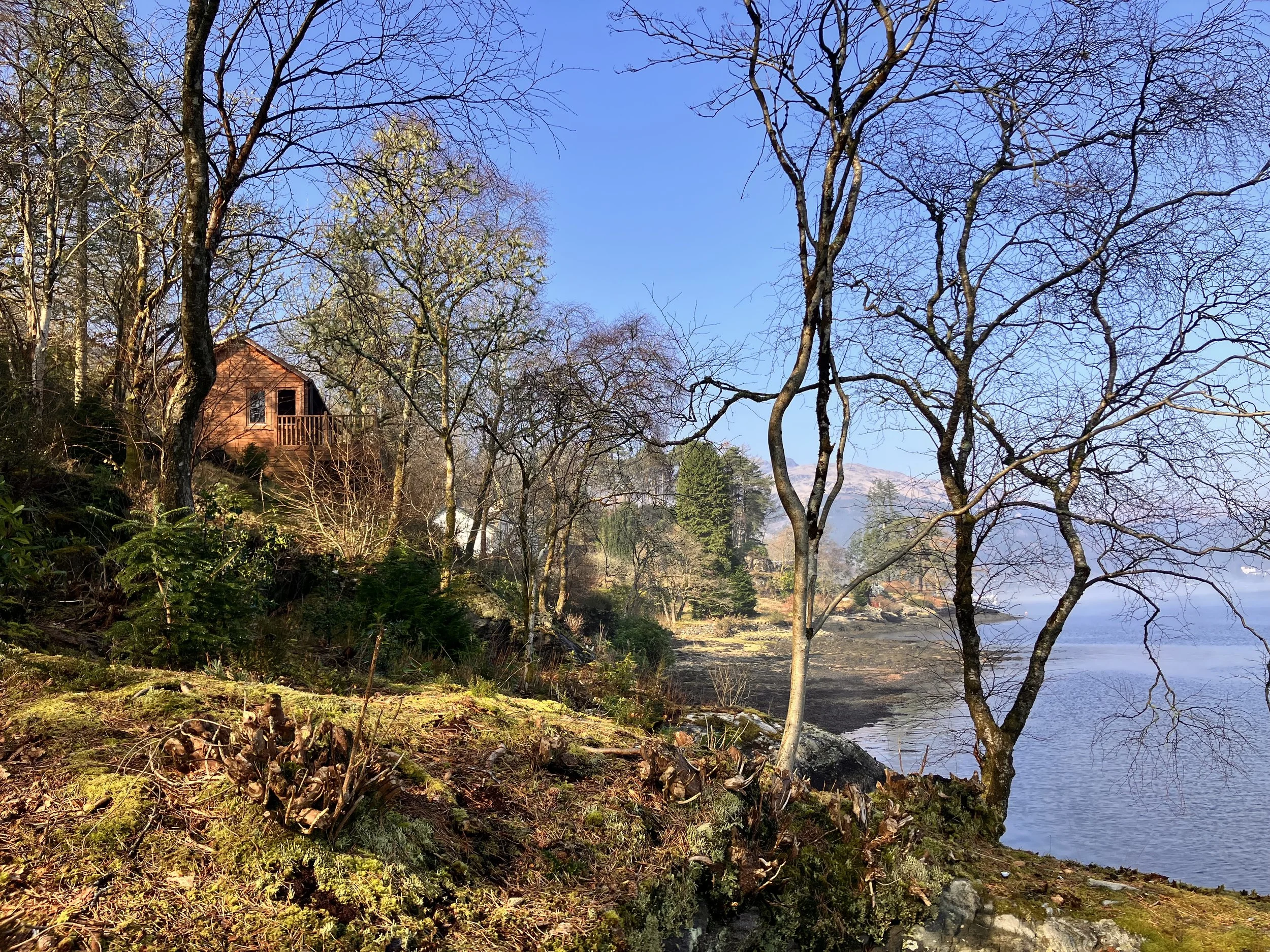 A lochside scene with leafless trees, a small wooden house on a hill, and mountains in the background under a clear blue sky.