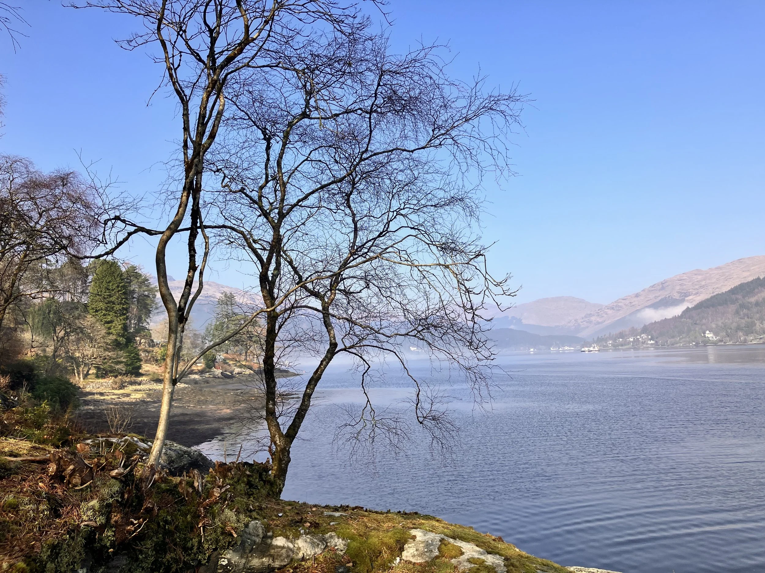 A lakeside scene with leafless trees, calm water, hills in the distance, and a clear blue sky.