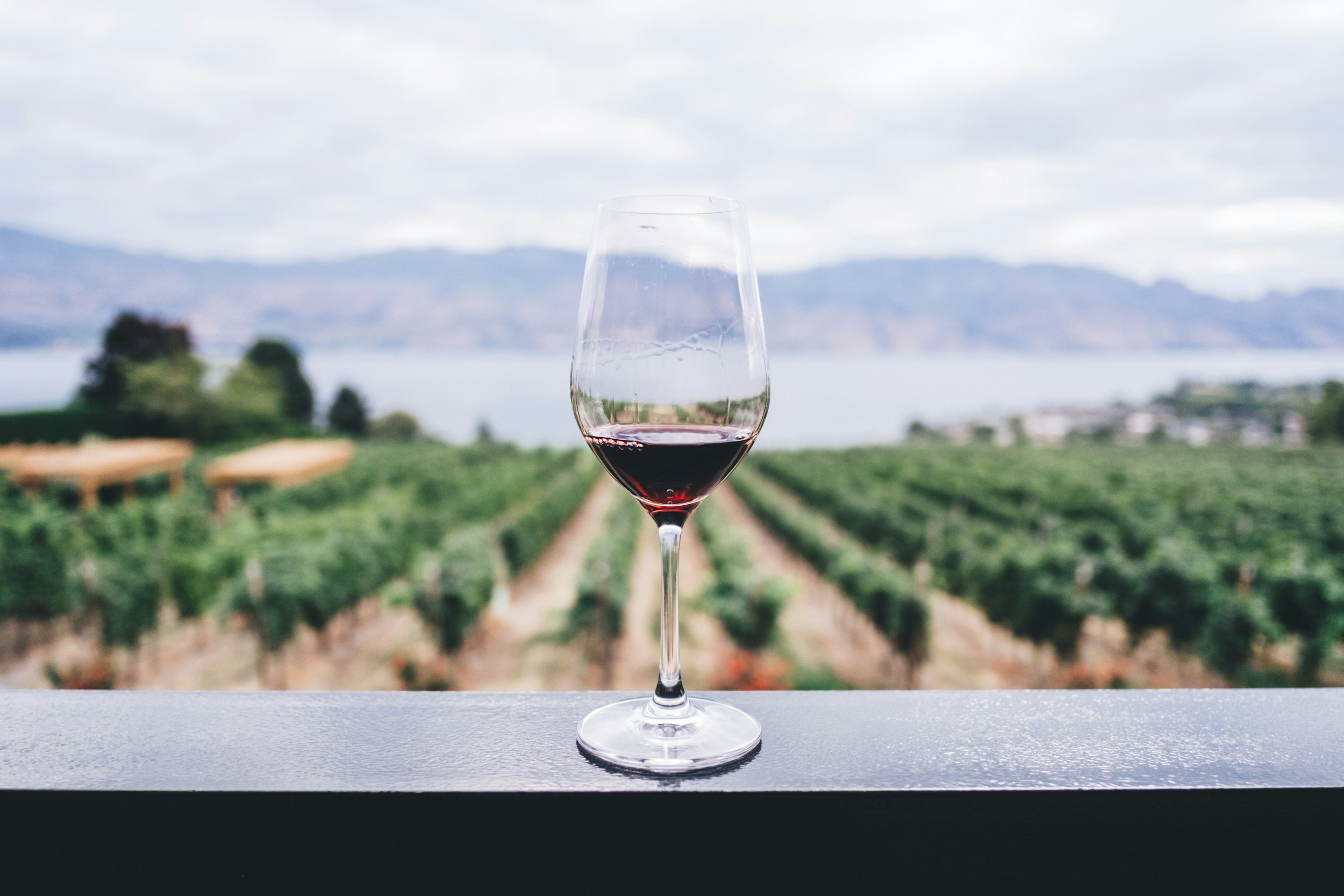 A glass of red wine on a ledge with a vineyard, lake, mountains, and cloudy sky in the background.
