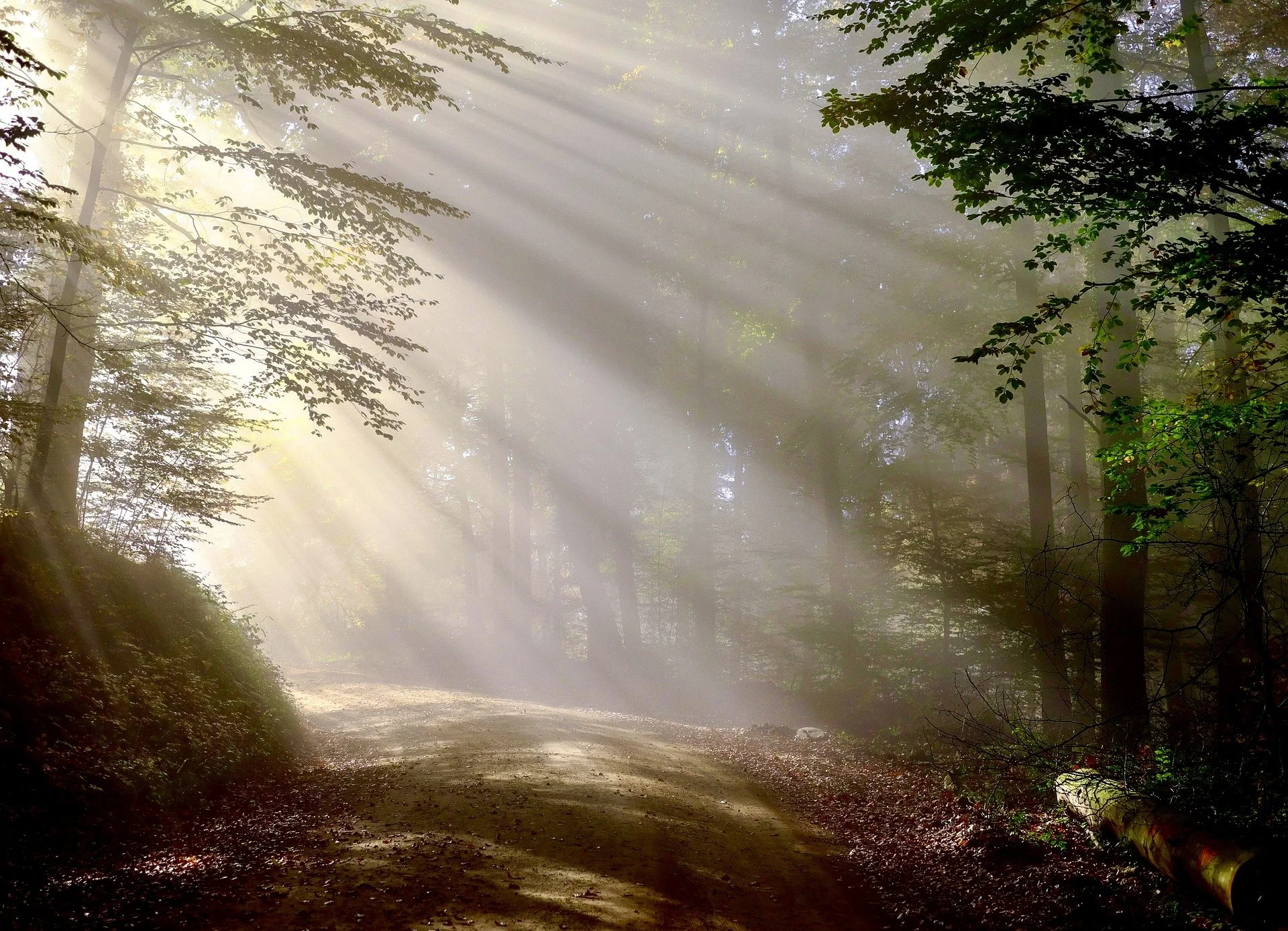 The Way Back is the Way Forward: A Path with Heart