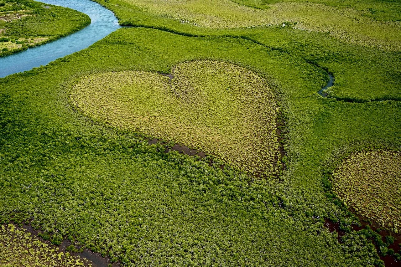 The Beauty of Imperfection: Creating with Heart