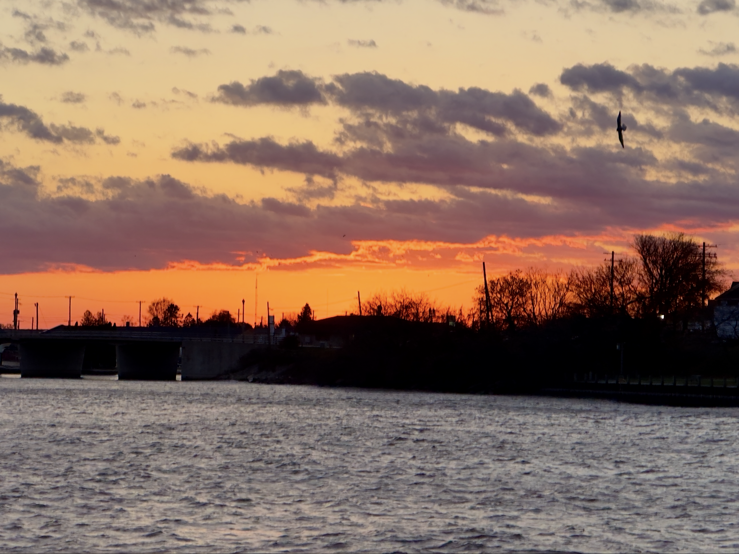 Thanksgiving - The Season of Turning