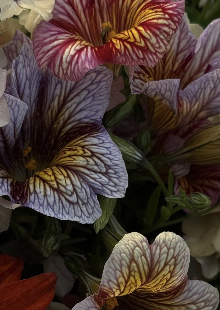 Screenshot 2026-01-09 at 17.37.54.png